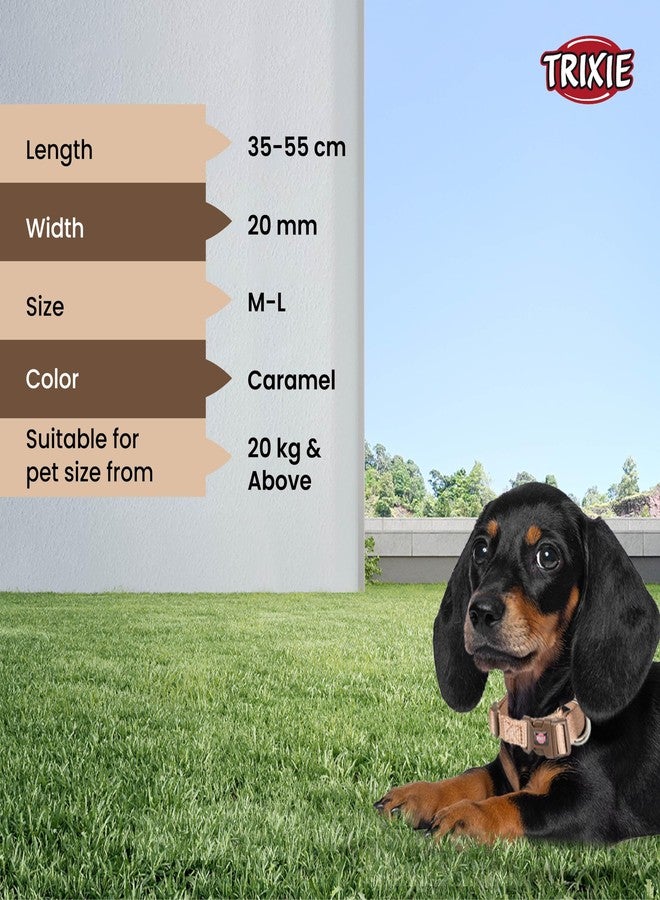 Trixie Premium Dog Collar Belt, Stylish Design, Adjustable Webbing Tape, Strain Relief, with Leash Connector, Neck Collar for Dogs, 35-55 cm (M-L, Caramel) - Image 5